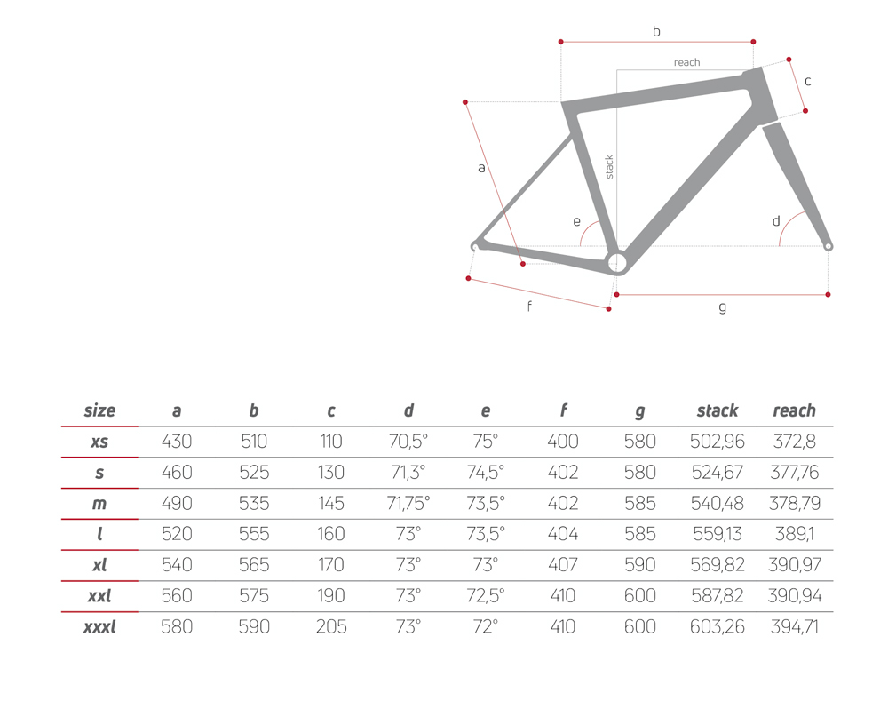 Bici da corsa Ciocc DEVILRAY RACE geometrie