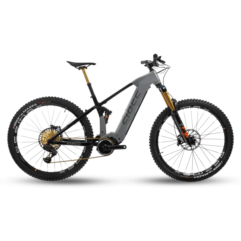 Vendita e riparazione di E-bike city bike Mori Rovereto Trento