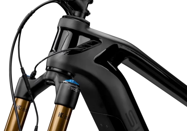 Bicicletta mtb elettrica SIMPLON Rapcon Pmax NX EAGLE - immagine 2
