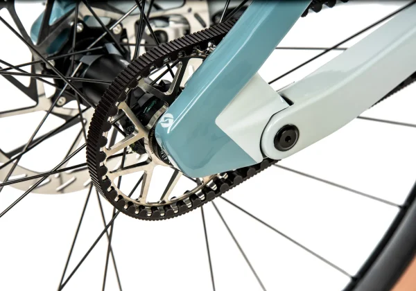 Bicicletta mtb elettrica SIMPLON Rapcon ePINION - immagine 3