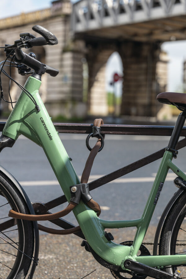 Antifurto bici ABUS INFINITY LOOP 1806/140 slow green - immagine 2